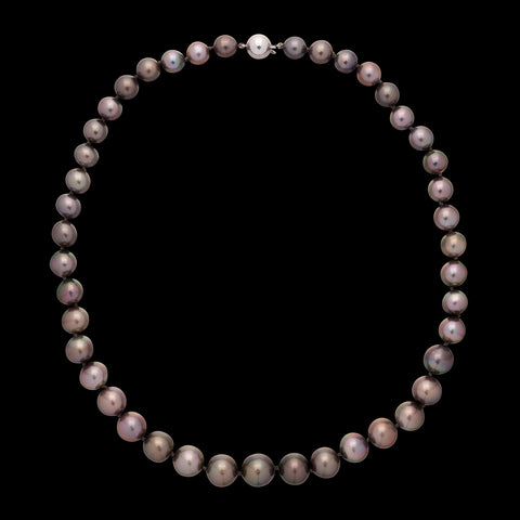 Black Cultured Pearl & 14k White Gold Necklace