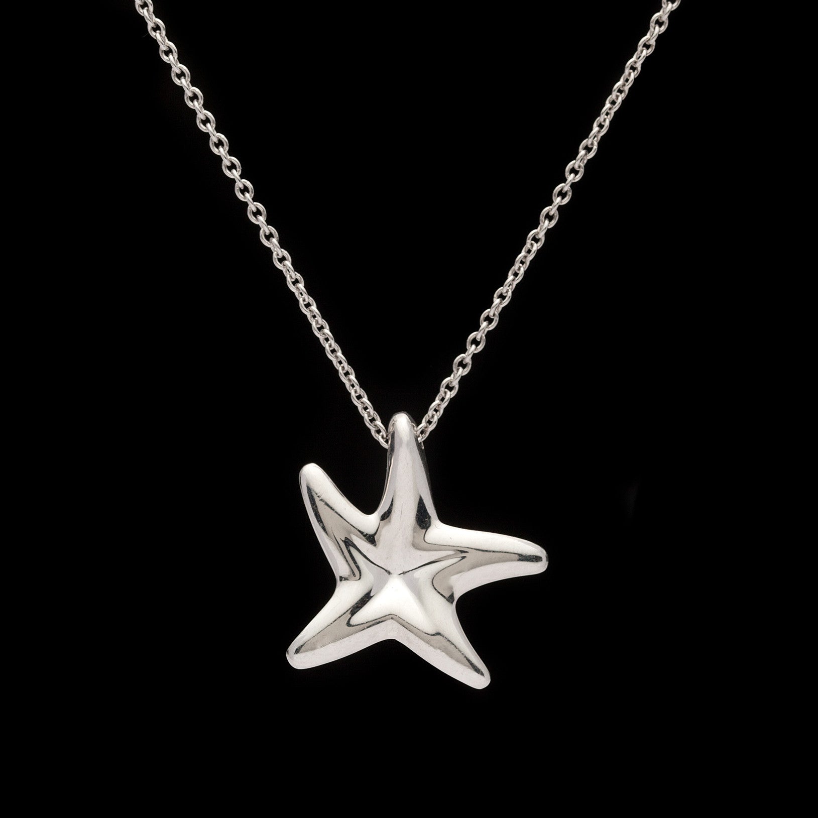 ティファニー　Tiffany & Co.スターフィッシュ　プラチナダイヤモンド Tiffany & Co. Starfish Pendant Diamond Platinum Necklace - 66mint