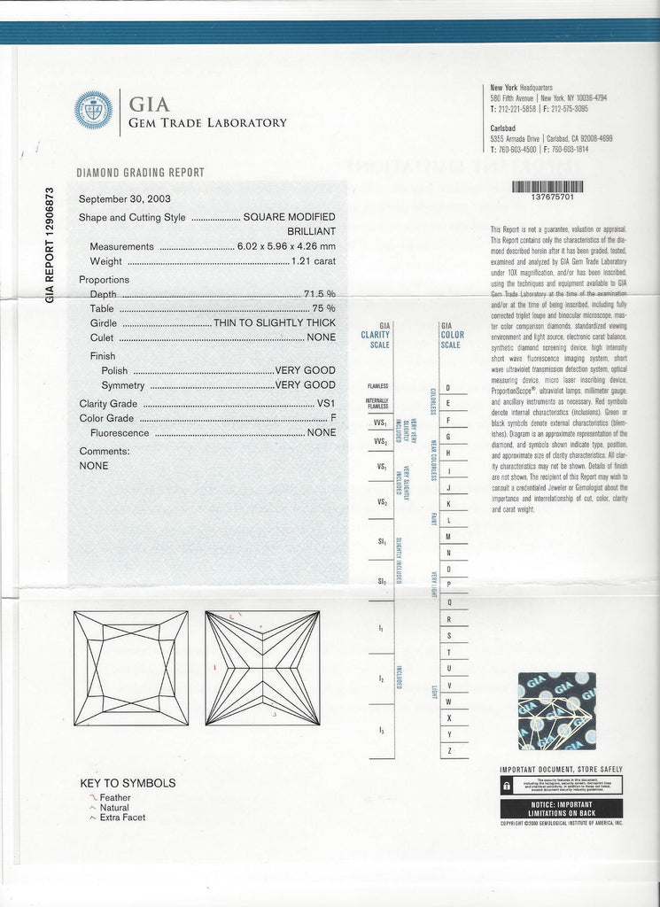 Spectacular F/VS1 Princess Cut Diamond Earrings